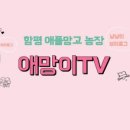 함평애플망고농장 네이버블로그