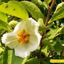 대화농업체험공원 이미지