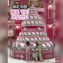 제주클라이밍스쿨 | 제주 헬로키티 아일랜드 정보 및 후기