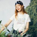 디자인데이지 이미지