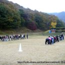 광교세무법인 Daum카페