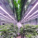 대덕농장 이미지