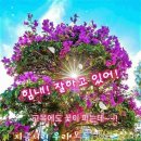 새희망