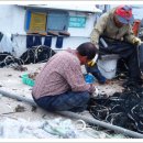 새벽항구 이미지