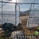 선원면-7 이미지