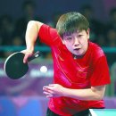 스티 카카오 검색결과