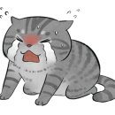 플라워돌스 이미지