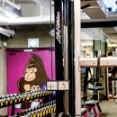 고릴라 짐 이미지