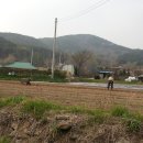 외라농장 이미지