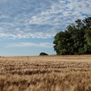 프로방스 이미지