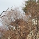 갈대이야기 이미지