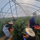 대산면행정복지센터 이미지