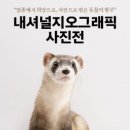 내셔널지오그래픽 - 정읍시 중앙로 129 | 내셔널지오그래픽