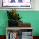 정원카센타 이미지