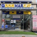도그마캣남양주