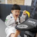참사랑태권도 이미지