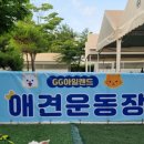 지지 아일랜드 바베큐 캠핑