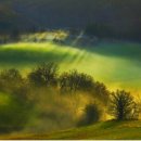 맑은눈사랑안경 이미지