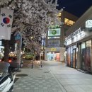 고바우덕 | 성신여대 모임 추천 고바우소곱창ㅣ소주가 무제한 공짜인 곱창 맛집이 있다?