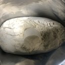 린핏 | [린핏 웨이 단백질보충제 바닐라맛 후기]