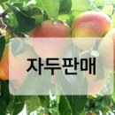 푸른초장농원