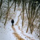 2026년 2월 14일(토) 청계산 오후산행(12시, 1시) 푸른돛산친구님 진행 이미지