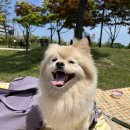 하림식당 이미지