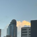 포테이토 독 | [홍콩 4박 5일] 🇭🇰디즈니랜드에서 콜라 한 병으로 버틴 여자들의 이야기🏰