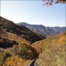 버스정류장 07-129 | 영남알프스&lt;129&gt;쇠점골,용수골,석남골