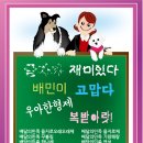 우아한복 이미지