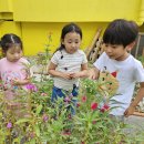 라온수피아유치원 이미지