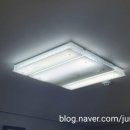 대덕1통 이미지