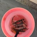 해림낚시 | 거제도 지세포항 도시어부 촬영한 뉴해림호, 선상낚시 내돈내산 체험 후기