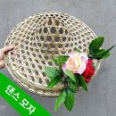 광장20호 이미지