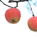 부곡농장2 이미지