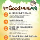 전놀부네 이미지