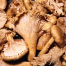 삼성홈플러스 이미지