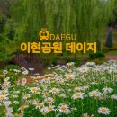 「숲속열린음악회 with 이현공원 풍경 015B & V.O.S」 | 대구 이현공원 데이지 행사정보 전망대