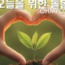 채움컴퍼니 이미지