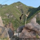 거북이민박 이미지