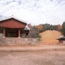 선궁주 | 조선의 정치 자금과 뇌물, 그리고 정경 유착