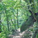 대관령솔내음오토캠핑장 이미지