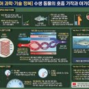 [2026EBS수특] 수생 동물의 흐름 이미지