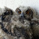 고품격 `Netizen Eye News` 07. 05. 09. 수. 이미지