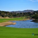 잔디휴가중 | 제주 테디밸리cc 예약 잔디 맛집 서귀포 골프장 후기