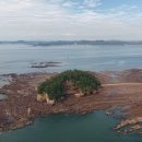 장고도8 이미지