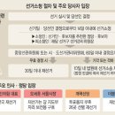 강수로 문화일보