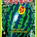 그린종묘농약사 이미지