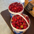 꼭지내농장 이미지