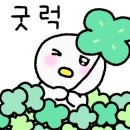 송당 드 이미지